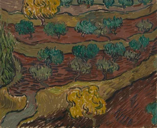 Olive Trees on a Hillside